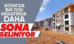 Aydın’daki TOKİ inşaatı yükseliyor