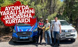 Aydın’da yaralı şahini jandarma kurtardı