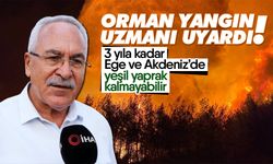 Orman yangın uzmanı uyardı! 3 yıla kadar Ege ve Akdeniz’de yeşil yaprak kalmayabilir