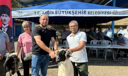 Çerçioğlu Üreticilerin Yanında! 137 küçükbaş hayvan hibe edildi