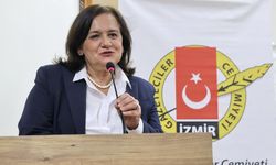 Aydın-Denizli otoyolunu yapan firmaya bütçeden kaynak aktarılıyor