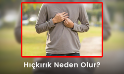 Hıçkırık Neden Olur? - Sürekli Hıçkırık Neden Olur?