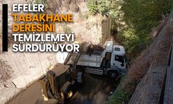 Efeler tabakhane deresini temizlemeyi sürdürüyor