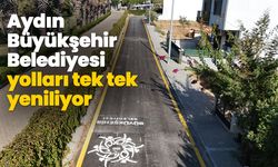 Aydın Büyükşehir Belediyesi yolları tek tek yeniliyor