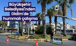 Büyükşehir Belediyesi'nden Didim'de hummalı çalışma