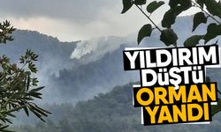 Yıldırım düştü, orman yandı