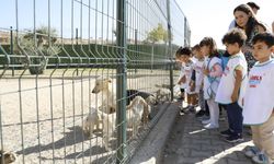 Çerçioğlu, öğrencilere can dostlar sevgisini aşıladı