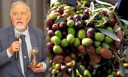 İlber Ortaylı'dan zeytin için şok uyarı! Mutlaka yapılması gerektiğini açıkladı