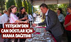 Yetişkin’den can dostlar için mama dağıtımı