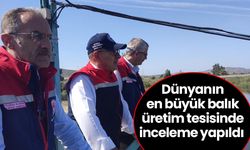 Dünyanın en büyük balık üretim tesisinde inceleme yapıldı