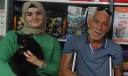 Kara kedi uğursuzluk değil 3,5 asgari ücret getirdi!