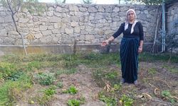 Aile dostunun yaptığına bak! Bahçelerine kimyasal madde döktüğü çifti zehirledi