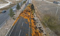 10 ton mandalina yola saçıldı! Karayolu turuncuya büründü