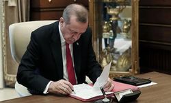 Aydın'da 5 ilçenin kaymakamı değişti! Erdoğan'dan gece yarısı atamaları