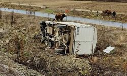 Hayvan yüklü kamyonet otomobille çarpıştı! Araçtan çıkan hayvanlar arazide otladı