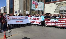 Aydın'da hekimler yönetmeliği protesto edecek