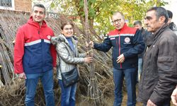 Aydın'da üreticilere destek! Binlerce fidan dağıtıldı