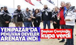 Yenipazar’da pehlivan develer arenaya indi