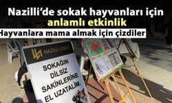 Nazilli’de sokak hayvanları için anlamlı etkinlik! Hayvanlara mama almak için çizdiler