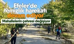 Efeler'de temizlik harekatı devam ediyor! Mahallelerin çehresi değişiyor