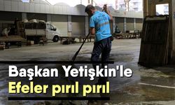 Başkan Yetişkin'le Efeler pırıl pırıl