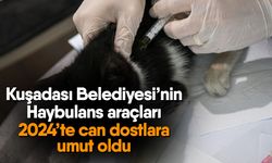 Kuşadası Belediyesi’nin Haybulans araçları 2024’te can dostlara umut oldu