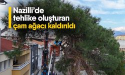 Nazilli’de tehlike oluşturan çam ağacı kaldırıldı