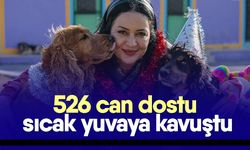 526 can dostu sıcak yuvaya kavuştu