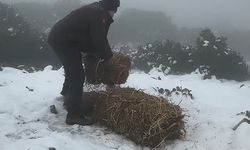 Aydın'ın gözlerden ırak sakinleri! Dondurucu soğukta hayatta kalmaya çalışıyorlar