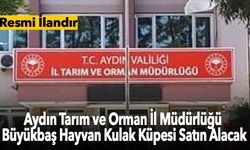 Aydın Tarım ve Orman İl Müdürlüğü Büyükbaş Hayvan Kulak Küpesi Satın Alacak