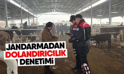 Çine hayvan pazarında güvenlik kontrolü yapıldı