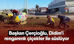 Başkan Çerçioğlu Didim’i rengarenk çiçekler ile süslüyor