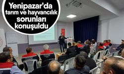 Yenipazar’da tarım ve hayvancılık sorunları konuşuldu