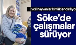 Evcil hayvanlar kimliklendiriliyor! Söke’de çalışmalar sürüyor