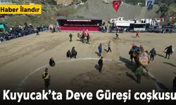 Kuyucak’ta Deve Güreşi coşkusu