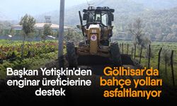 Başkan Yetişkin'den enginar üreticierine destek! Gölhisar'da bahçe yolları asfaltlanıyor