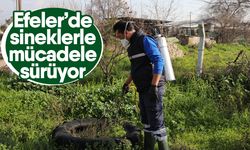 Efeler’de sineklerle mücadele sürüyor