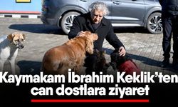 Kaymakam İbrahim Keklik’ten can dostlara ziyaret