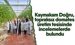 Kaymakam Doğru, topraksız domates üretim tesisinde incelemelerde bulundu