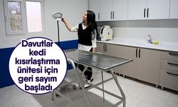 Davutlar kedi kısırlaştırma ünitesi için geri sayım başladı