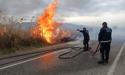 Nazilli’de sazlık yangını! Alevler nedeniyle trafik aksadı