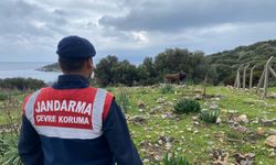 Kuşadası’nda ‘Temiz insan, temiz çevre’ denetimi