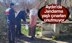 Aydın’da Jandarma yaşlı çınarları unutmuyor