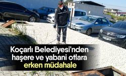 Koçarlı Belediyesi'nden haşere ve yabani otlara erken müdahale