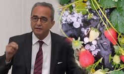 CHP’li Tezcan çiftçilerin sesi oldu! “Geçim kaynakları ciddi zarar gördü”