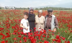 Karpuzlu’da yeni akım başladı! Oradan geçen fotoğraf çekmeden gitmiyor