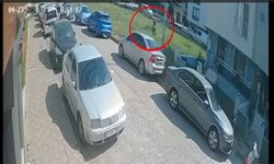 Aydın’da sokak köpeklerinin kovaladığı genç hastanelik oldu