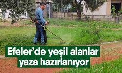 Efeler’de yeşil alanlar yaza hazırlanıyor