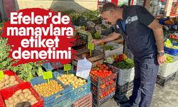 Efeler’de manavlara etiket denetimi