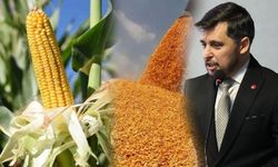 Bozdoğan'dan vergisiz mısır ithalatı kararına tepki!“Yerli üreticilerin alın terine darbedir”